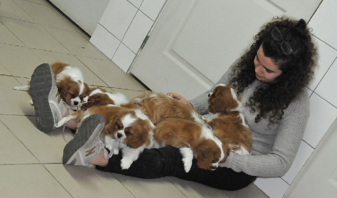 des Jardins de Bagatelle - Les bébés ont 10 semaines