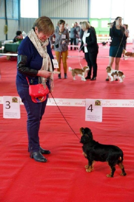 des Jardins de Bagatelle - Nationale d'élevage Montluçon 19 mars 2016