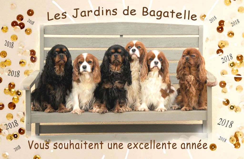 des Jardins de Bagatelle - Merveilleuse année à tous