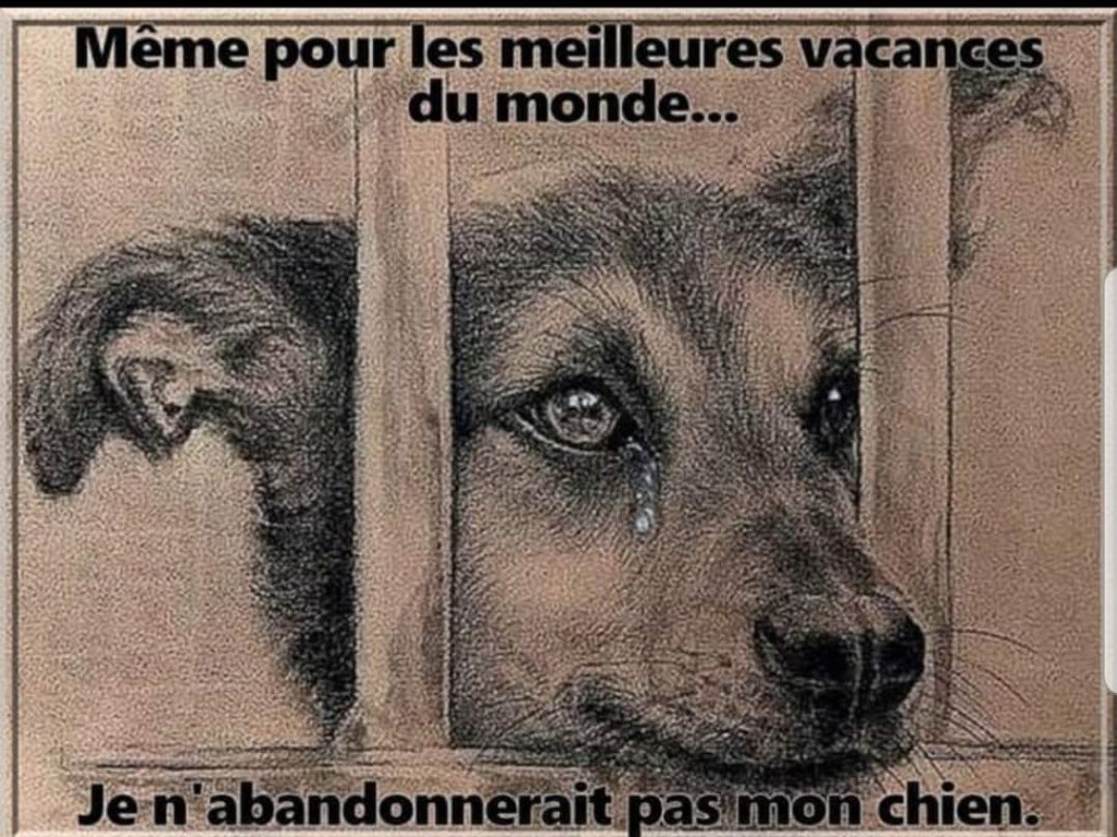 des Jardins de Bagatelle - un chien pour la vie